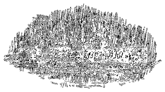 Бешеная акула i_020.png