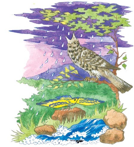 Лакцы. История, культура, традиции i_054.jpg