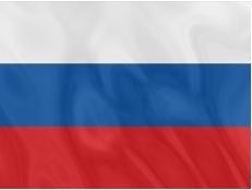 Политические и избирательные системы государств Европы, Средиземноморья и России. Том 3. Учебное пособие _91.jpg
