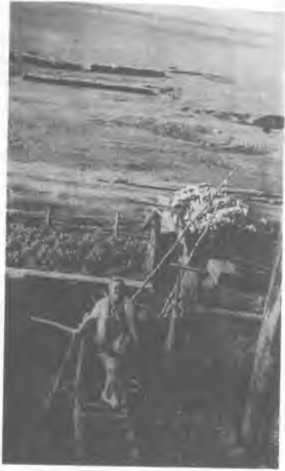 История жизни, история души. Том 2 image29.jpg
