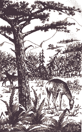 Избранное i_009.png