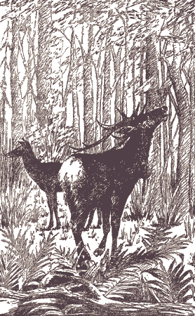 Избранное i_011.png