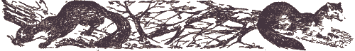 Избранное i_012.png