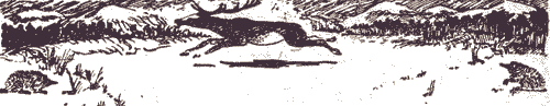 Избранное i_022.png