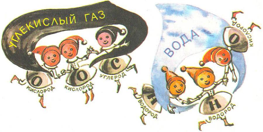 Где у растения дом _33.jpg