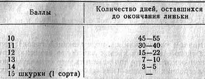 Лисица img_11.png