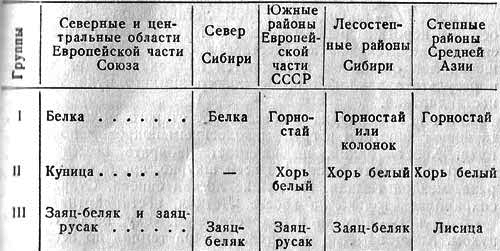 Лисица img_12.png