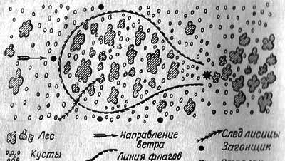 Лисица img_17.png