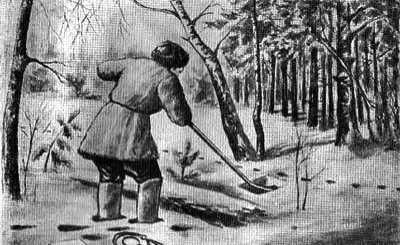 Лисица img_23.png