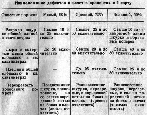 Лисица img_29.png