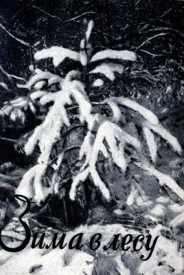 Жизнь леса i_088.jpg