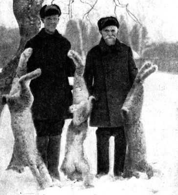 Жизнь леса i_095.jpg