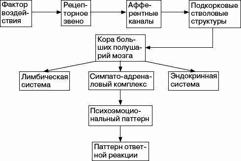 Человек в экстремальной ситуации i_058.png