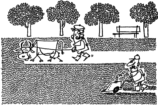 Беседы о животноводстве i_033.png