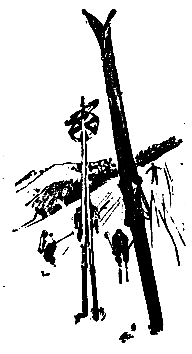 Приключения Травки pic_34.png