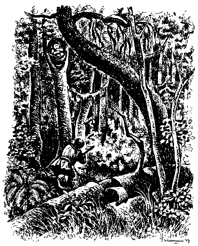 Храбрый Азмун. Амурские сказки pic_29.png