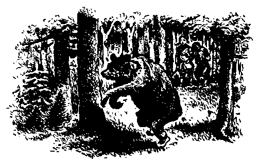 Храбрый Азмун. Амурские сказки pic_31.png