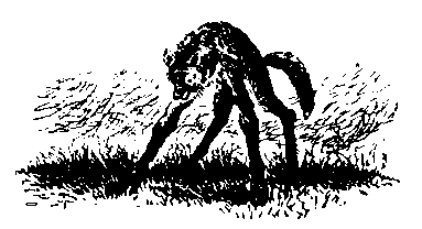 Храбрый Азмун. Амурские сказки pic_33.png