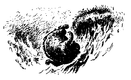 Храбрый Азмун. Амурские сказки pic_35.png