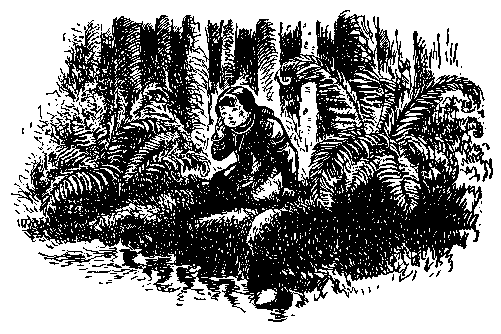 Храбрый Азмун. Амурские сказки pic_41.png
