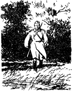 Дивизионка pic22.png