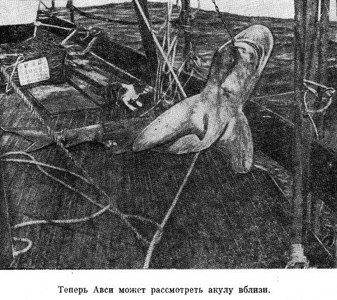 Возраст не помеха p07.jpg