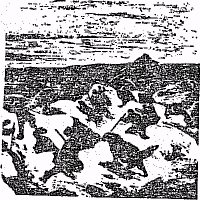 Навстречу неизведанному i_008.png