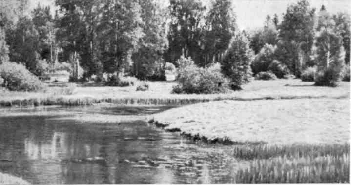Морской узел img_17.jpg