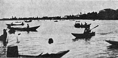 Год на острове Врангеля. Северная воздушная экспедиция i_031.jpg