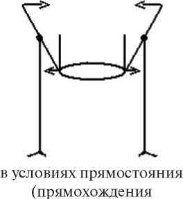 Дитя человеческое. Психофизиология развития и регресса i_062.jpg