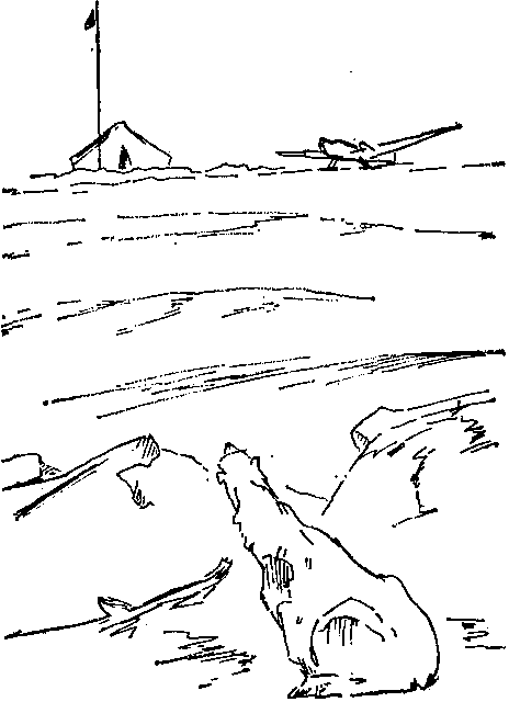 Крылатый следопыт Заполярья img_12.png