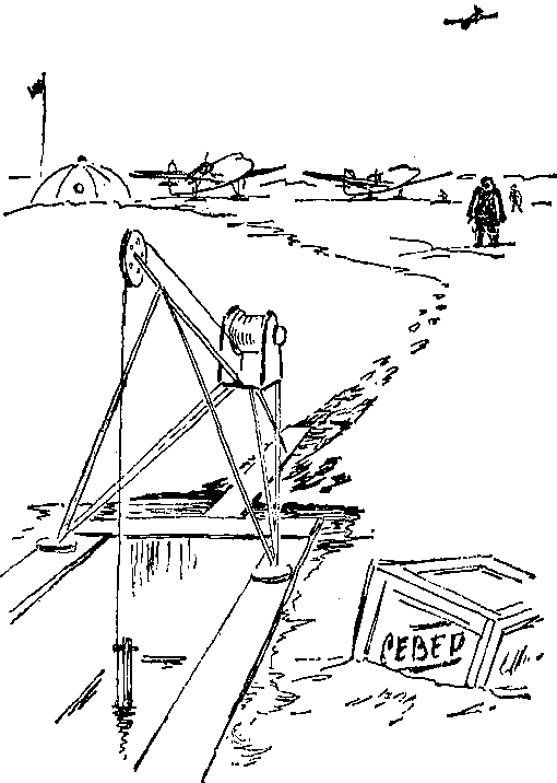 Крылатый следопыт Заполярья img_15.png