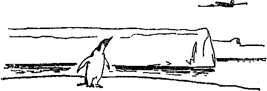 Крылатый следопыт Заполярья img_17.png