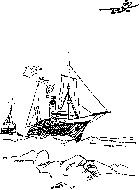 Крылатый следопыт Заполярья img_8.png