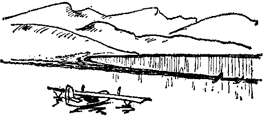 Крылатый следопыт Заполярья img_9.png