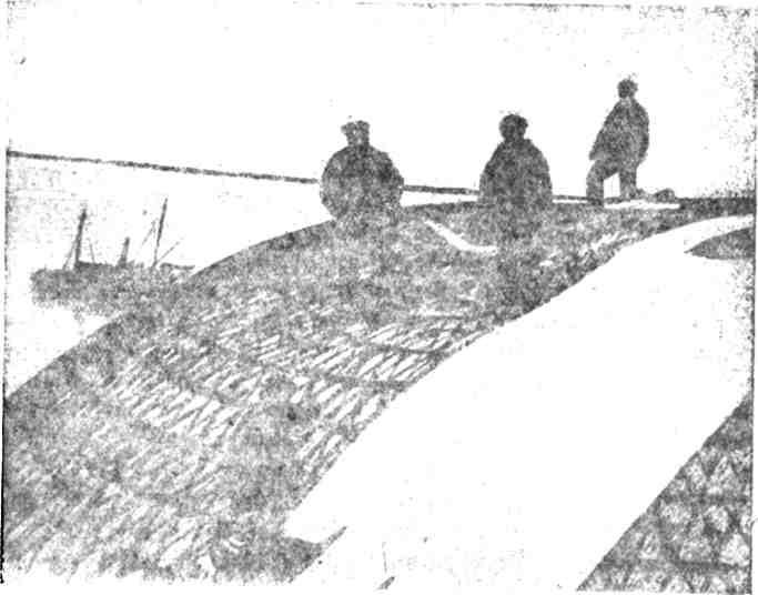В страну ледяного молчания img_48.jpeg