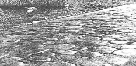 Сципион. Социально-исторический роман. Том 2 i_009.jpg
