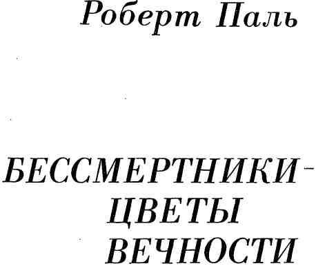 Бессмертники — цветы вечности img_1.jpeg