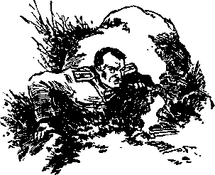 Здравствуй, товарищ! _12.png