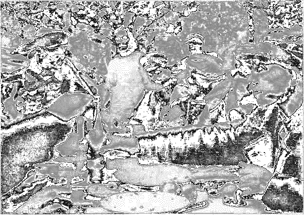 ПОД НЕМЦАМИ. Воспоминания, свидетельства, документы _11.png