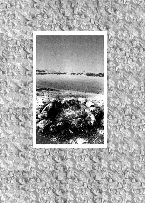Камушек на ладони. Латышская женская проза i_010.jpg