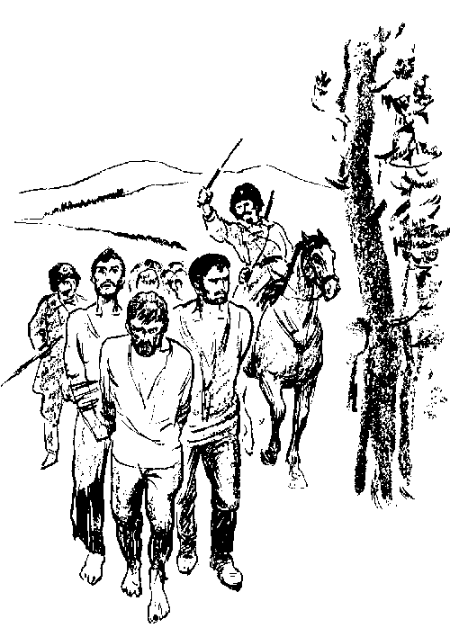 Забайкальцы. Книга 3 i_001.png