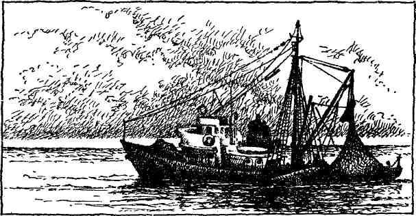 Бурное море img_4.jpg