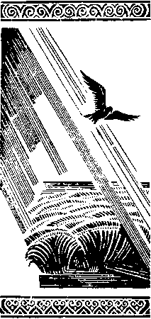 Степь ковыльная i_001.png
