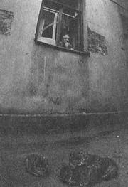 Мой Петербург i_034.jpg