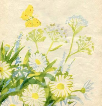 Наши цветы img_22.jpg