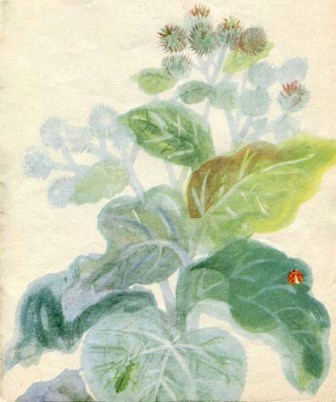 Наши цветы img_24.jpg
