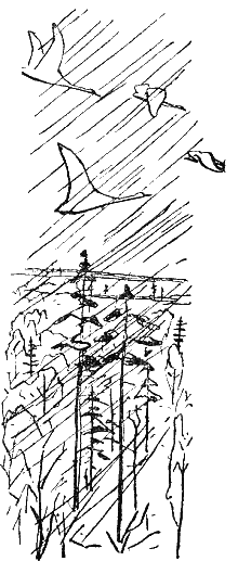 Серебряные зори i_003.png