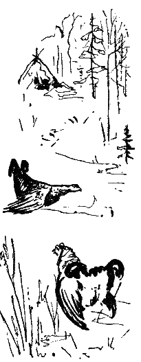 Серебряные зори i_015.png