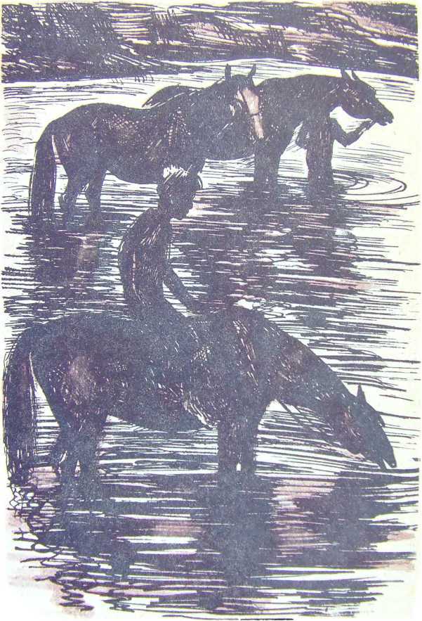 Просека i_002.jpg